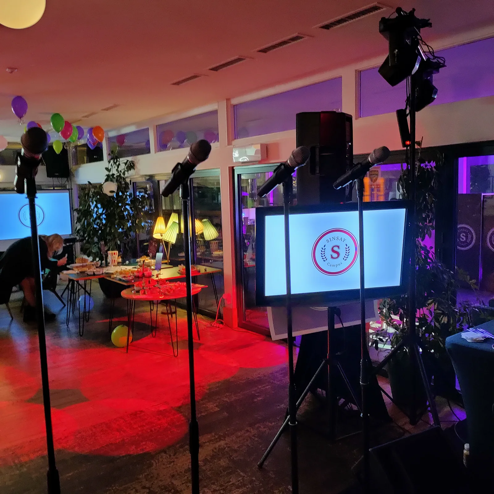 Microphones and screen ready for karaoke